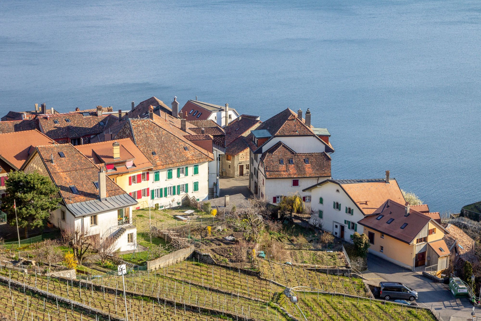 Vaud